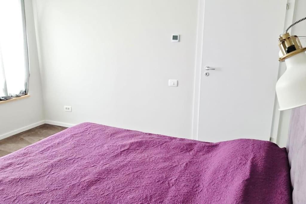 Pineview Lempes Βίλα Μπρασόβ Εξωτερικό φωτογραφία