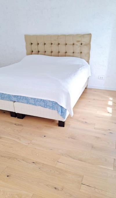 Pineview Lempes Βίλα Μπρασόβ Εξωτερικό φωτογραφία