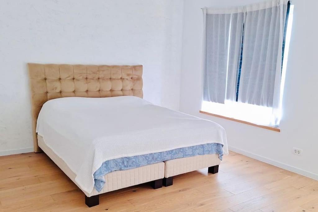 Pineview Lempes Βίλα Μπρασόβ Εξωτερικό φωτογραφία