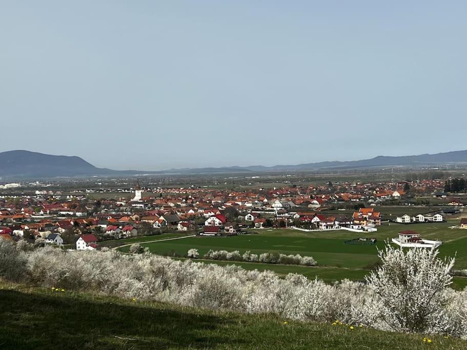 Pineview Lempes Βίλα Μπρασόβ Εξωτερικό φωτογραφία